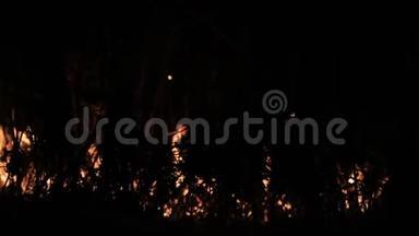 森林燃烧<strong>失去</strong>控制的夜晚。 火焰燃烧在农村的草地上。
