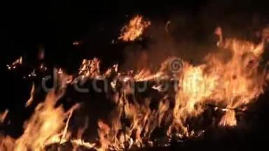 森林燃烧失去控制的夜晚。 火焰燃烧在农村的草地上。