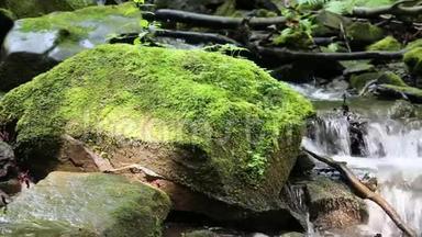 美丽的小溪和有绿色苔藓的石头