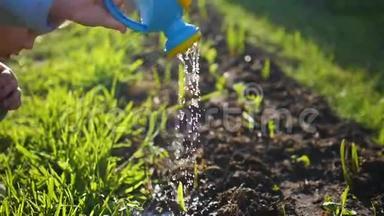 一个小<strong>浇水</strong>的孩子可以给院子里的草<strong>浇水</strong>。 年轻的园丁
