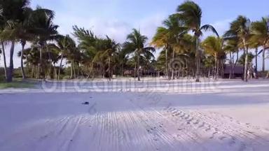 空中无人机射击。 镜头慢慢地在椰子棕榈之间飞舞.. 加勒比海沿岸美丽的日落