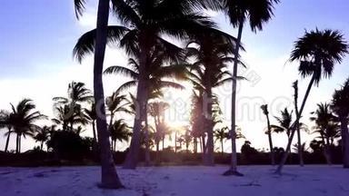 空中无人机射击。 镜头慢慢地在椰子棕榈之间飞舞.. 加勒比海沿岸美丽的日落
