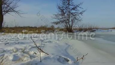 田野里绿草如茵，白雪皑皑，俄罗斯户外枯死的树木，冬天的风景，户外的安定