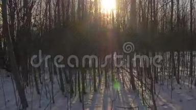 森林里的雪乡路
