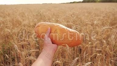 人们在麦田里拿着一<strong>条</strong>生活方式的面包。 慢动作<strong>视频</strong>。 小麦领域的成功农学家。 收获<strong>时间</strong>