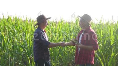 团队合作智慧农牧概念慢动作视频.. 两个男人农艺师两个农民胜利握手团队合作