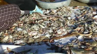 越南渔民钓海鲜