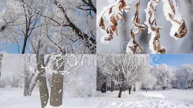 一幅<strong>美丽的</strong>拼贴画-一个<strong>冬天的</strong>森林，一个<strong>美丽的风景</strong>，一张圣诞照片。