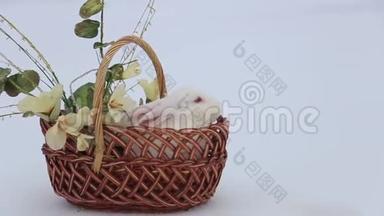 复活节篮子里的白兔，漂亮的小白兔