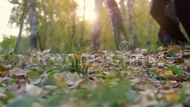 穿着跑鞋的年轻人在秋天落叶上缓慢地穿过森林中的太阳。 1920x1080