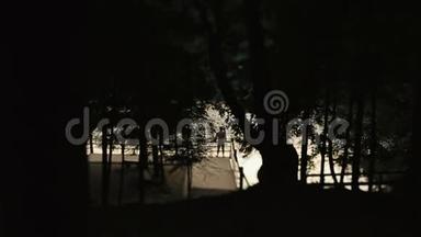 站在码头上的人孤独的<strong>剪影</strong>，前景上有夕阳和<strong>树枝</strong>图案