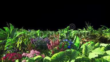 热带植物和花在风中与蝴蝶。 有阿尔法频道。 编<strong>解码</strong>器-PNG阿尔法。 美丽的夏天