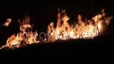 森林燃烧<strong>失去</strong>控制的夜晚。 火焰燃烧在农村的草地上。