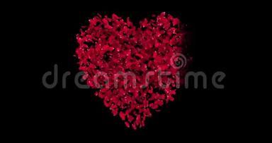 红色玫瑰花瓣红色心形动画，黑色屏幕背景上红色粒子崩解，带有α通道
