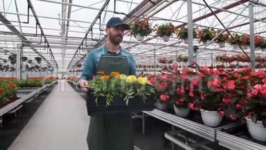 快乐的工业温室工人携带装满鲜花的盒子。 微笑和快乐的人与花他成长。