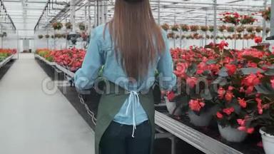快乐的工业温室工人携带装满鲜花的盒子。 微笑和快乐的女人与她成长的花朵。