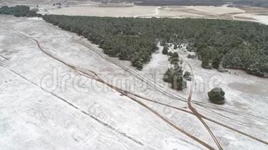 鸟瞰冬季松林.. 冬季航空摄影