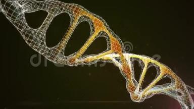 PNGDNA与其连接的网络。 旋转DNA。
