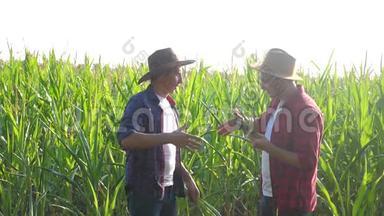 团队合作智慧农牧概念慢动作视频.. 两个男人农艺师两个农民握手团队合作生意