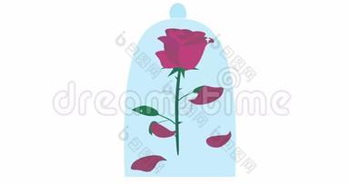 迷人的红色玫瑰<strong>花瓣</strong>飘落在玻璃穹顶<strong>卡通</strong>动画。