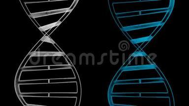 3D动画/3D绘制-DNA链（脱氧核糖核酸）。