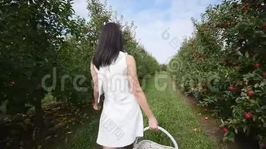 一个美丽的女孩去看种植园，在一个阳光明媚的日子。 概念：生物<strong>产品</strong>、天然<strong>产品</strong>、新鲜<strong>产品</strong>