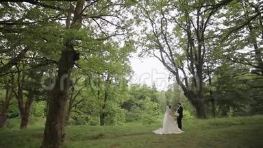 新郎和新娘结婚那天在森林里散步