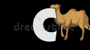 字母C和骆驼（背景）