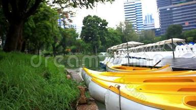 泰国曼谷绿色公园的水监测器。 高清高清