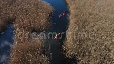 一群人在秋天河上的芦苇丛中划着皮艇。