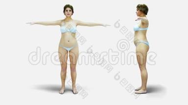 胖的3d女人。 <strong>瘦身</strong>和肥胖过程.. 饮食与健康理念.. 孤立的。 现实的三维渲染。