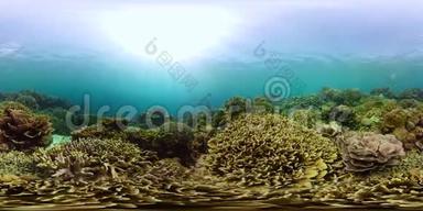 珊瑚礁带鱼水下360VR.. 菲律宾Camiguin