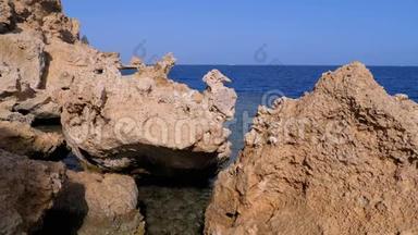 落基海滩在红海和悬崖附近的珊瑚礁。 埃及。 红海海岸度假村..