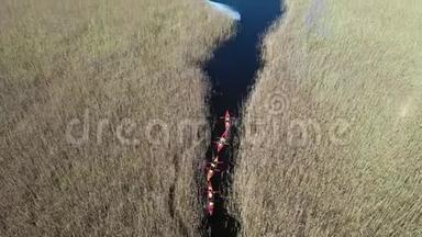 一群人在<strong>秋天</strong>河上的<strong>芦苇丛</strong>中划着皮艇。