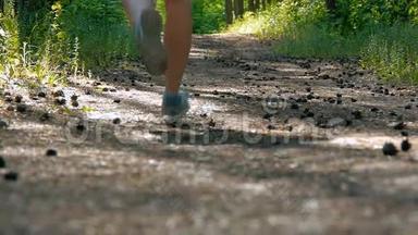 跑步的女人在公园里跑步锻炼户外健身追踪器可穿戴技术女孩在树林里跑步