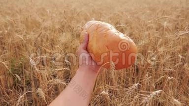 人们在麦田里拿着一条面包. 慢动作视频。 小麦领域的成功农学家。 收获时间