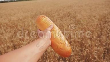 人类在麦田里拿着一<strong>条</strong>面包。慢动作<strong>视频</strong>。 小麦领域的成功农学家。 收获<strong>时间</strong>。 面包