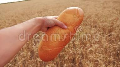 人类在麦田里拿着一条面包。慢生活方式运动视频。 小麦领域的成功农学家。 收获时间