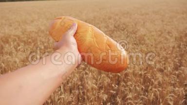 人类在麦田里拿着一条面包。慢动作视频。 小麦领域的成功农学家。 收获生活方式时间