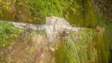 希腊Andros岛Menites村的<strong>狮子头</strong>喷泉。