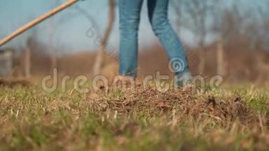 一个女人用耙子耙草坪草。 园林地块春季<strong>大扫除</strong>..