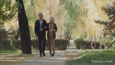 老年夫妇相互搀扶<strong>着</strong>在公园里散步