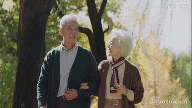 老年夫妇相互搀扶<strong>着</strong>在公园里散步