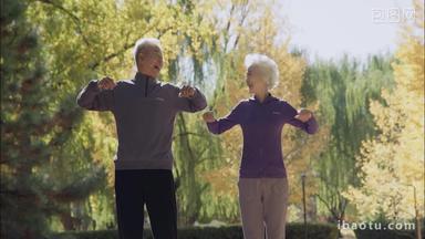幸福的老年<strong>夫妇</strong>在公园里锻炼身体