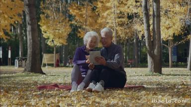 幸福的老年夫妇坐在户外看平板电脑