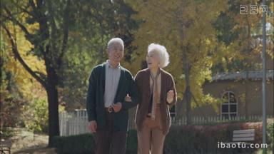 幸福的老年<strong>夫妇</strong>在公园里做瑜伽