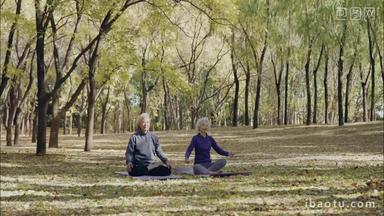 幸福的老年夫妇在公园里做瑜伽