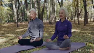幸福的老年夫妇在公园里做<strong>瑜伽</strong>