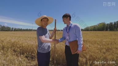 农民在麦田里合作农村小麦宣传素材