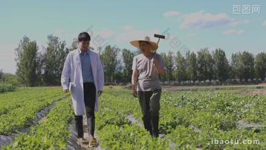 科研人员和农民交流技术专业视频